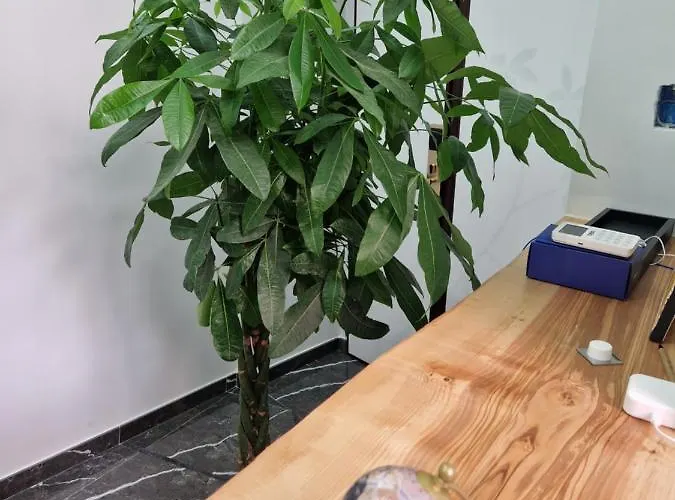 Bed & Breakfast Worldwidesuites *